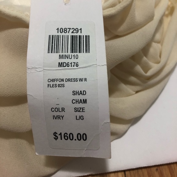 Honey Chiffon Dress Ivory - Picture 6 of 6